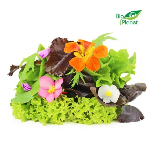 Mix sałat świeży eko z kwiatami Bio Planet około 120g.jpg