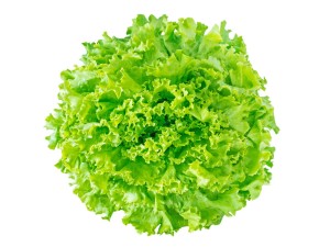 Sałata Ozdobna świeża  (około 200g)(Włochy) 1szt