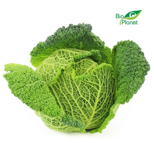 Kapusta włoska świeża eko Bio Planet (ok 0,5kg) 1szt (Włochy).jpg
