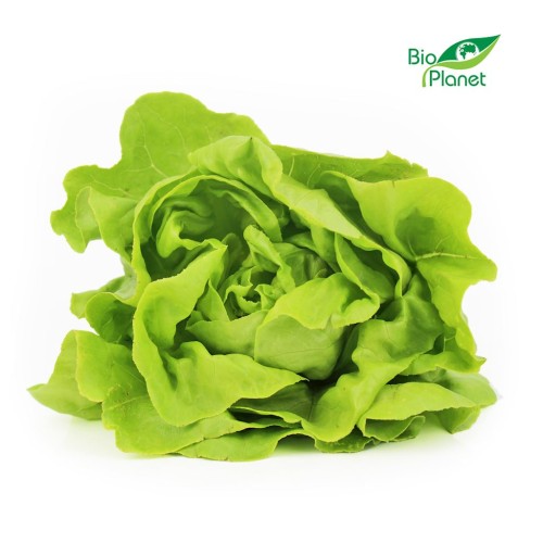 Sałata Masłowa świeża eko Bio Planet (ok 0,15kg) (Polska) 1szt.jpg
