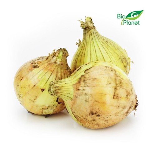Cebula żółta świeża eko Bio Planet (Polska) (ok 1kg) 1szt.jpg