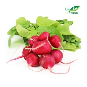 Rzodkiewki świeże eko Bio Planet (Polska) około 100g pęczek