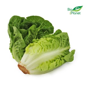 Sałata Rzymska mini świeża eko Bio Planet (ok 0,18kg) (Hiszpania) 1szt