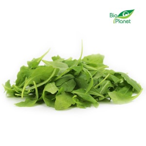 Sałata Rukola świeża niemyta eko Bio Planet (Włochy) około 100g