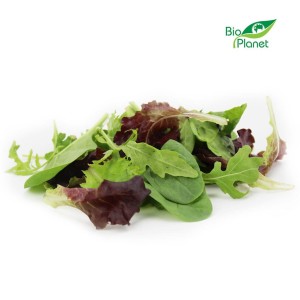 Mix sałat świeży eko niemyty Bio Planet (Włochy) około 100g