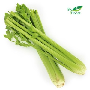 Seler naciowy świeży eko Bio Planet (ok 0,30kg) (Hiszpania) 1szt