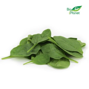 Szpinak Baby świeży eko niemyty Bio Planet (Włochy) około 250g *