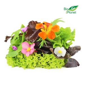 Mix sałat świeży eko z kwiatami (Polska) Bio Planet około 120g