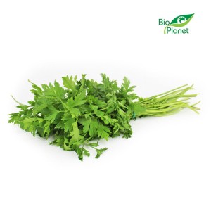 Natka pietruszki świeża eko Bio Planet (Polska) (ok 35g) pęczek 1szt