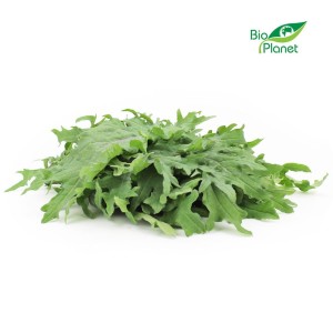 Jarmuż świeży eko Bio Planet (Polska) (0,30kg) opak