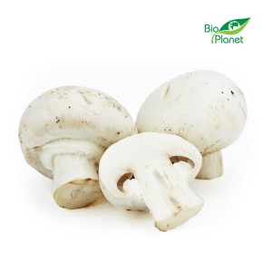 Pieczarki świeże białe eko Bio Planet (Polska) 250g tacka