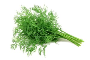 Koperek świeży zielony (około 0,035g)(Polski) pęczek 1szt